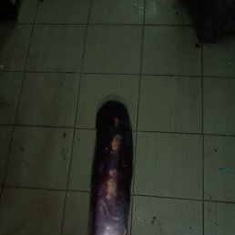 ���� �����, �����-���������, 42 ���� - ��������� 28 ������� 2023