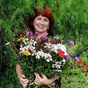 ���� �����, �������, 61 ��� - ��������� 12 ���� 2023