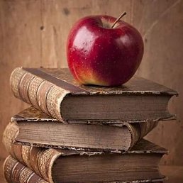 ���� ������, �����, 53 ���� - ��������� 28 ������� 2023