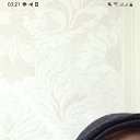 ���� ������, �����, 48 ��� - ��������� 6 ��� 2023 � ������ ���� ����������