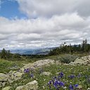 ���� �������, �����������, 57 ��� - ��������� 2 �������� 2023 � ������ ������ ��������