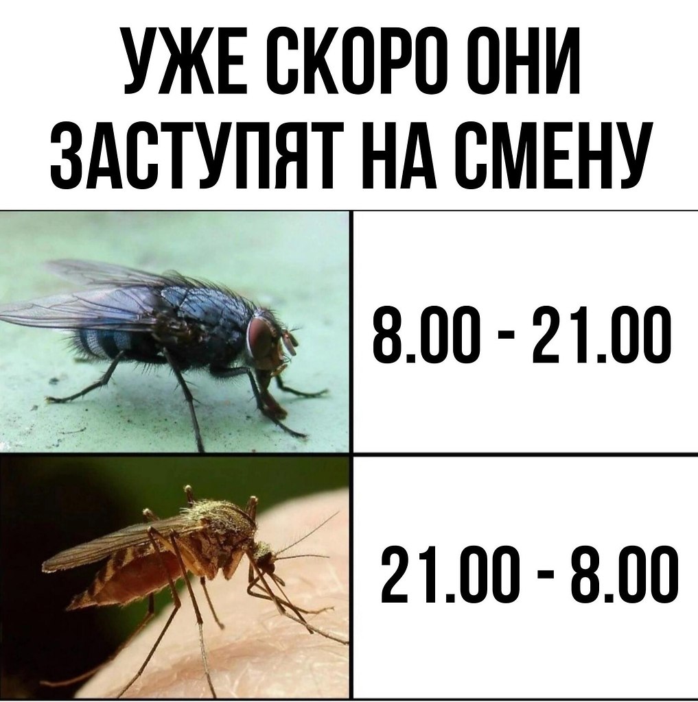 ~~~~~~~~~~~~~~~~