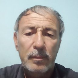 ������, �����, 55 ���