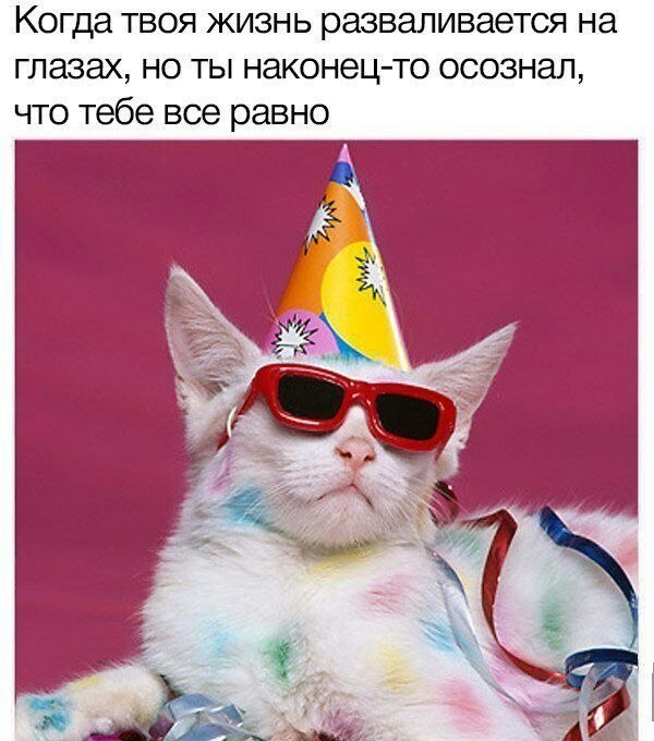    - 22  2023  22:34