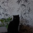  , -, 48  -  13  2023    