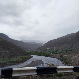 �����, ������, 43 ����