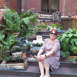 ����, �����������, 75 ���