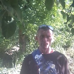 �������, �������, 43 ����