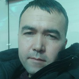 �������, �������, 38 ���