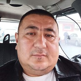 ����, �������, 40 ���