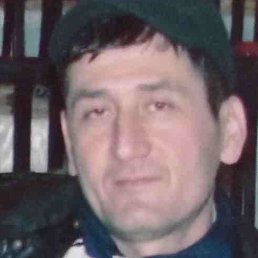 ������, �������, 51 ���