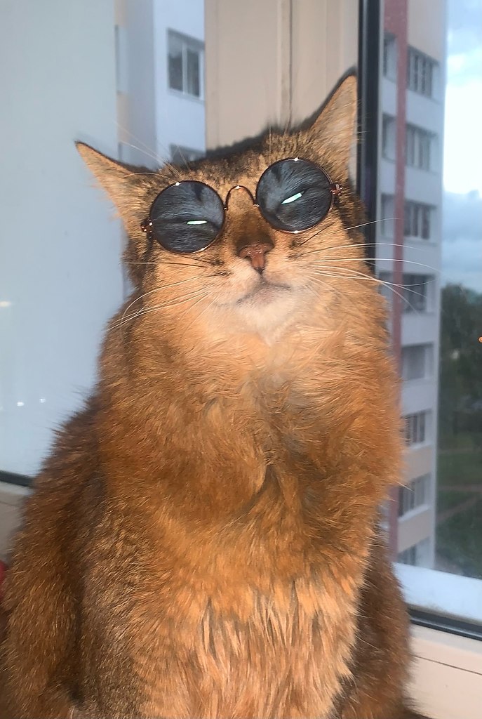  ))]