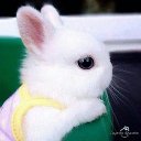 ���� ������, �������, 25 ��� - ��������� 2 ������ 2023 � ������ ���� ����������