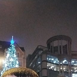 ����, �����-���������, 39 ���