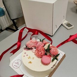 �������, �����-���������, 55 ���