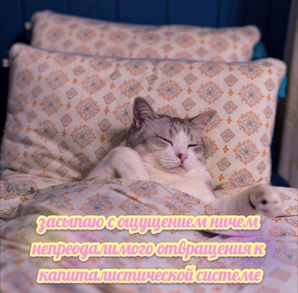    - 22  2023  18:40