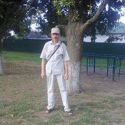 �������, ������ ��������, 55 ���