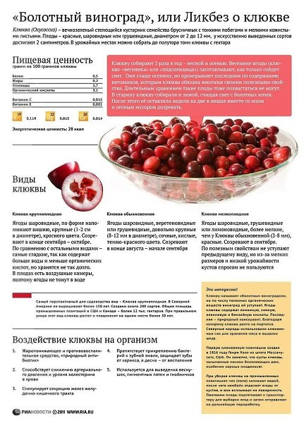 Клюкву называют болотным виноградом.И знать что в ней полезного будет интересно