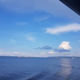 ���� �������, ������, 40 ��� - ��������� 24 ���� 2023