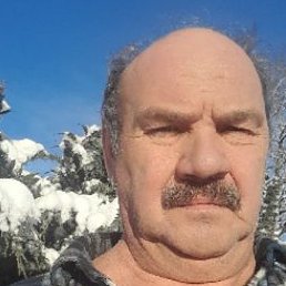 Maldis, ����, 65 ���