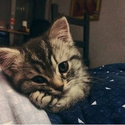 Фото Владислав, Москва, 26 лет Владислав, Москва, 26 лет