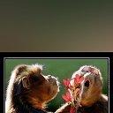 ���� ���������, �������, 54 ���� - ��������� 2 ������� 2023 � ������ ���� ����������