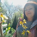 ���� ����, ������, 57 ��� - ��������� 18 ������ 2023 � ������ ���� ����������