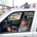 ���� �����, ������, 44 ���� - ��������� 2 �������� 2023