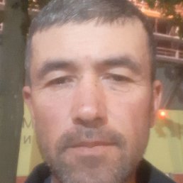 ����, ������, 50 ���