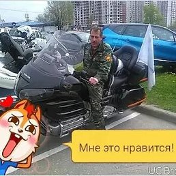 ������, �������, 53 ����