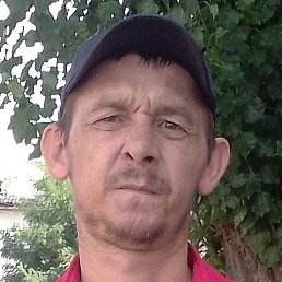 ����, ������, 41 ���