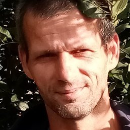 �������, ����, 39 ���