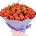 ���� �����, ���������, 59 ��� - ��������� 27 ������� 2023 � ������ ������ ��������