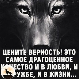 ������, �������, 55 ���