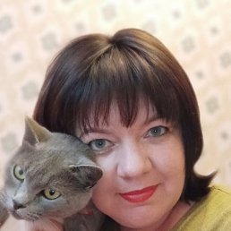 �����, ������, 45 ���