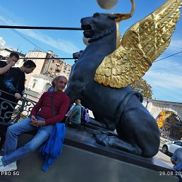 ����, �����-���������, 43 ����