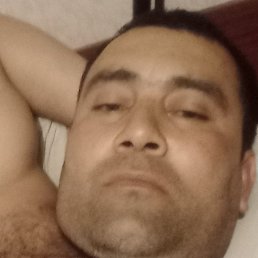 �����, ����, 40 ���