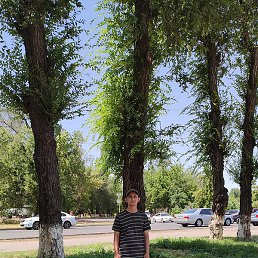 �������, ���������, 33 ����