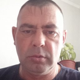 �������, ������, 46 ���