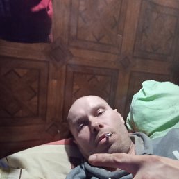 ���������, ������, 40 ���