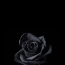 ���� ����� �, ����, 37 ��� - ��������� 13 ������� 2023