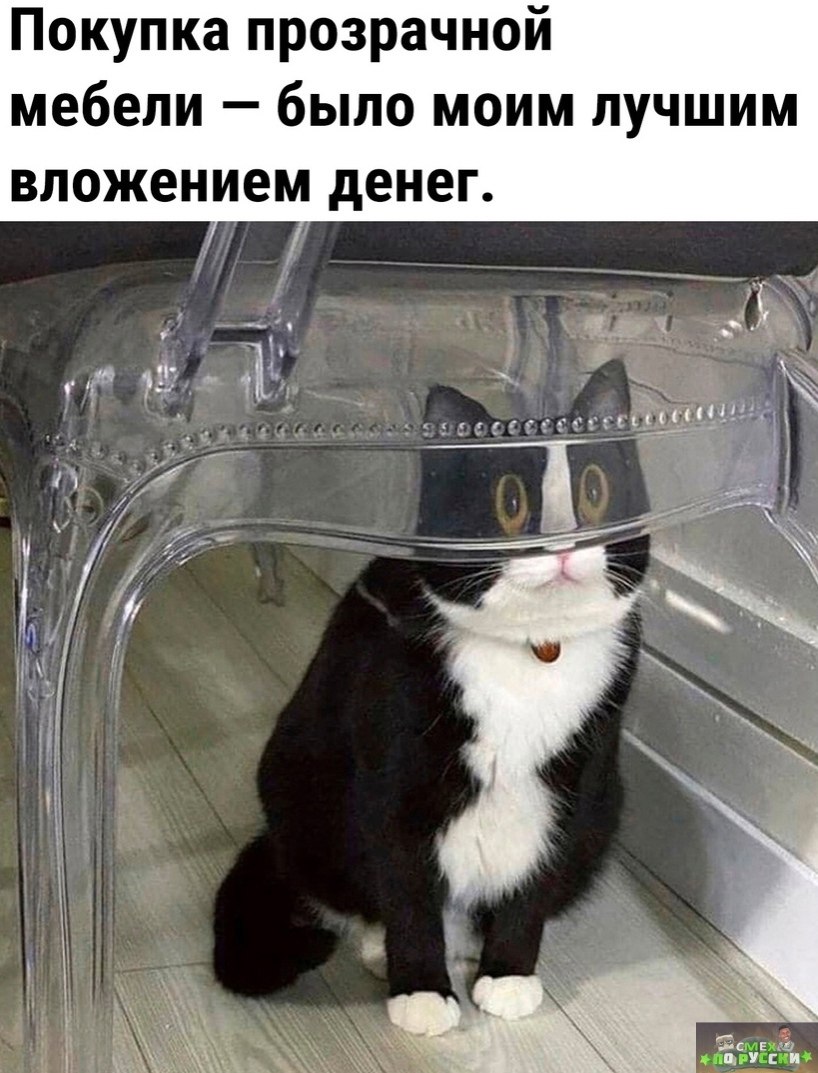  - 26  2023  08:55