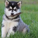 ���� �����, ������, 30 ��� - ��������� 24 ������ 2023 � ������ ���� ����������