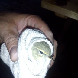 ���� �����, ������� ��������, 46 ��� - ��������� 18 ������� 2023