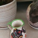 ���� Mark, ����-����, 56 ��� - ��������� 13 ���� 2023 � ������ �cat�