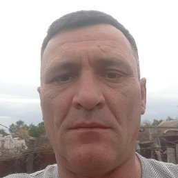 ������, ������, 48 ���