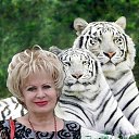 ���� �������, ������, 70 ��� - ��������� 6 ���� 2023 � ������ ���� ����������