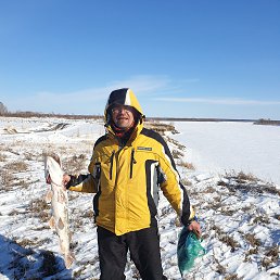 ���� �������, �����������, 42 ���� - ��������� 1 �������� 2023