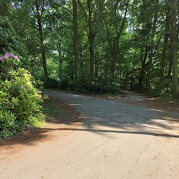 Fateh, �����, 37 ���