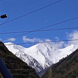 ����, ������, 48 ���